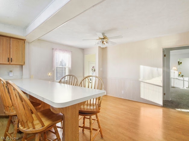 244 Harvey Street Struthers OH 44471