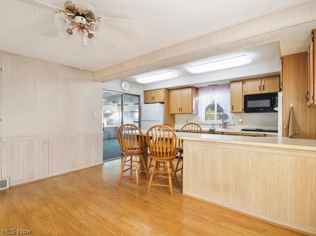244 Harvey Street Struthers OH 44471