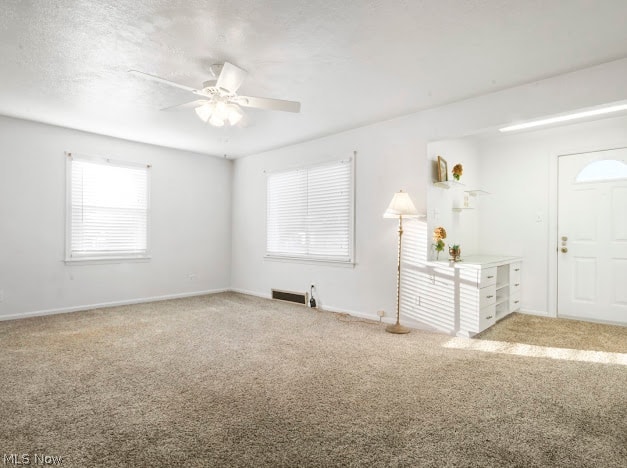 244 Harvey Street Struthers OH 44471