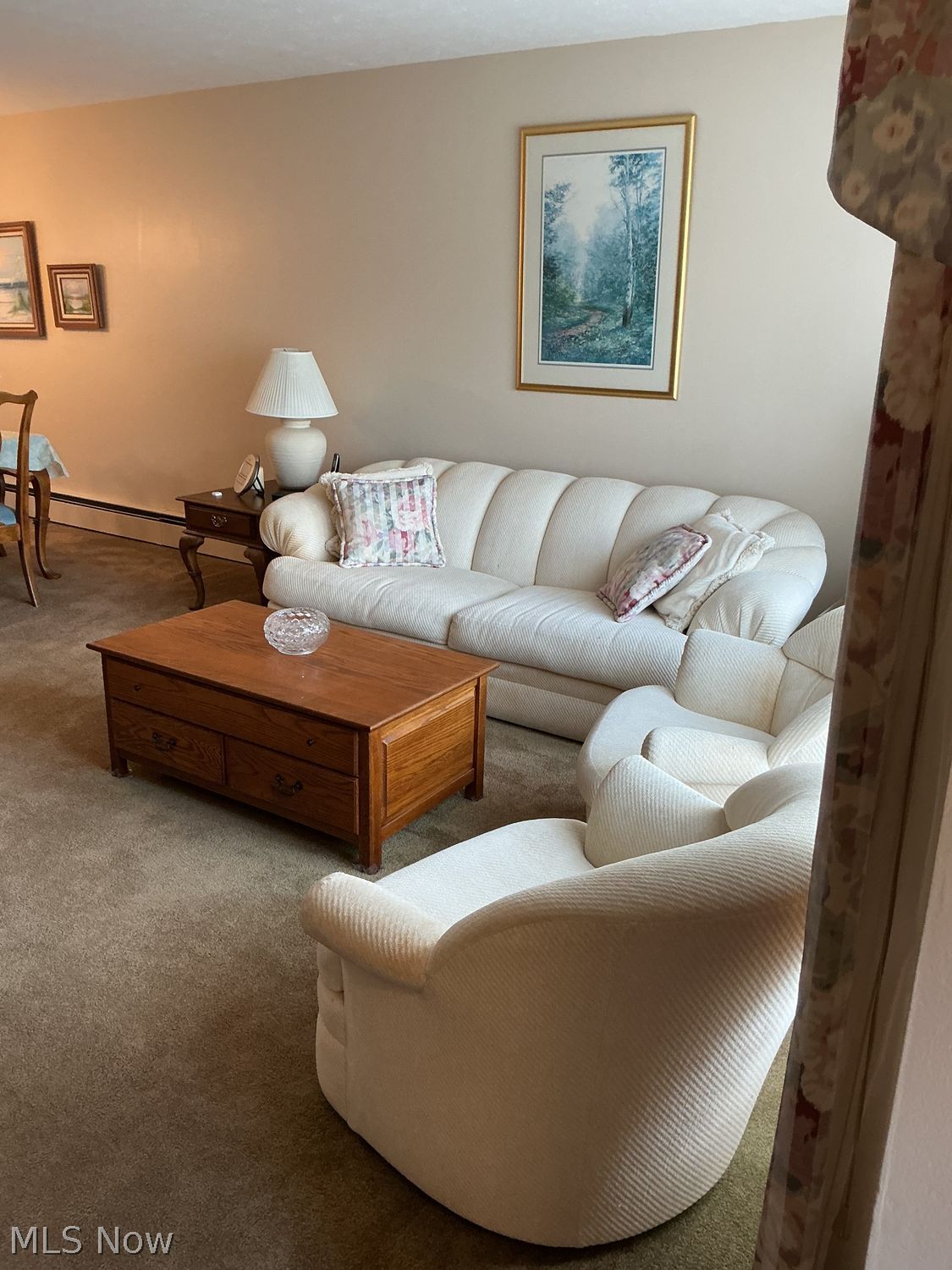 1828 E Skyline Drive Lorain OH 44053