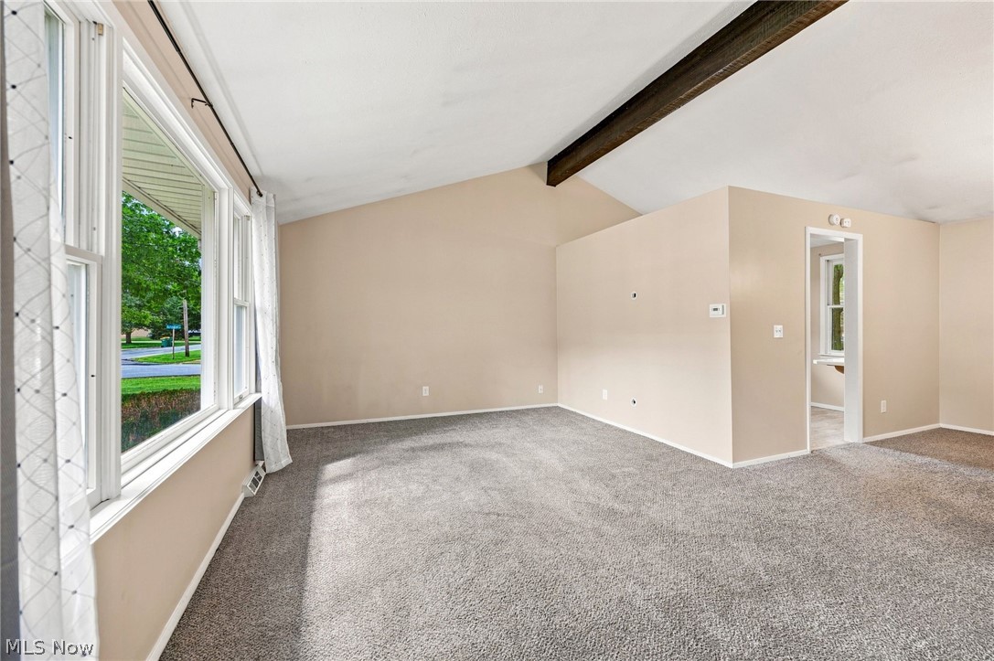 8665 Rosebud Drive Mentor OH 44060