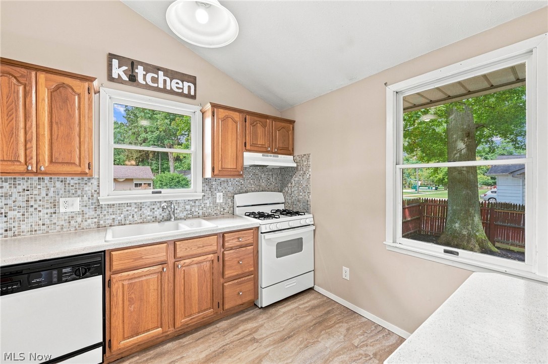 8665 Rosebud Drive Mentor OH 44060