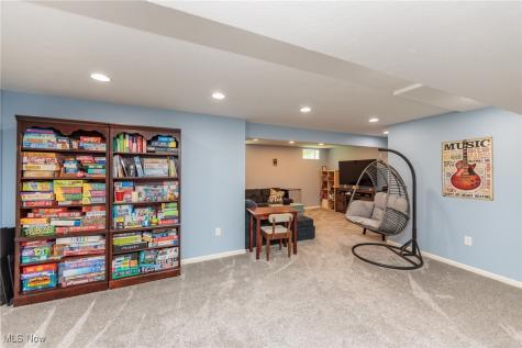 4928 Treeline Drive Brunswick OH 44212