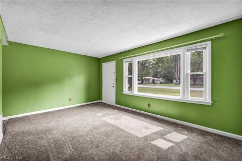 14554 Plum Creek Drive Columbia Station OH 44028