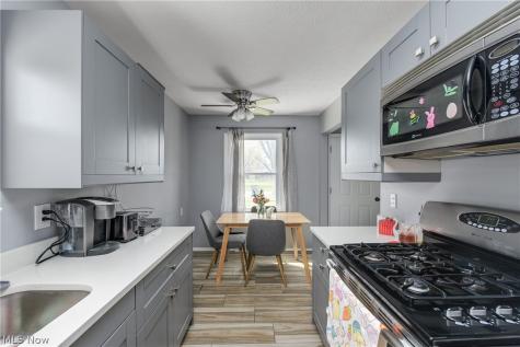 572 Bell Avenue Elyria OH 44035