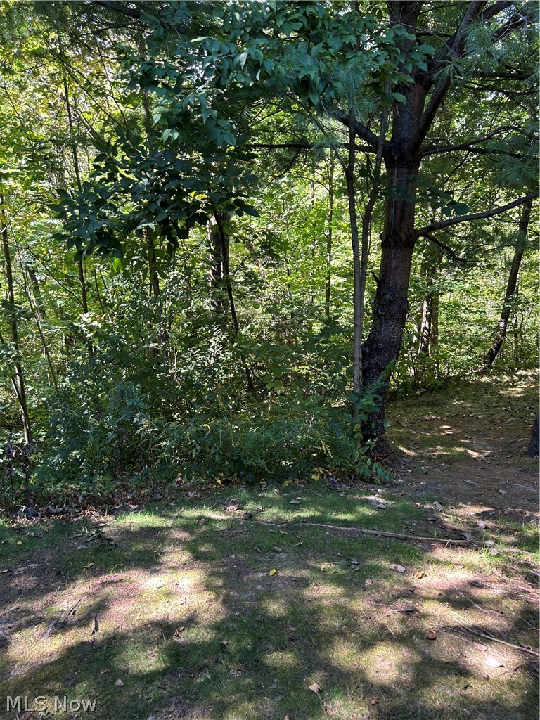 1265 River Run Drive Macedonia OH 44056