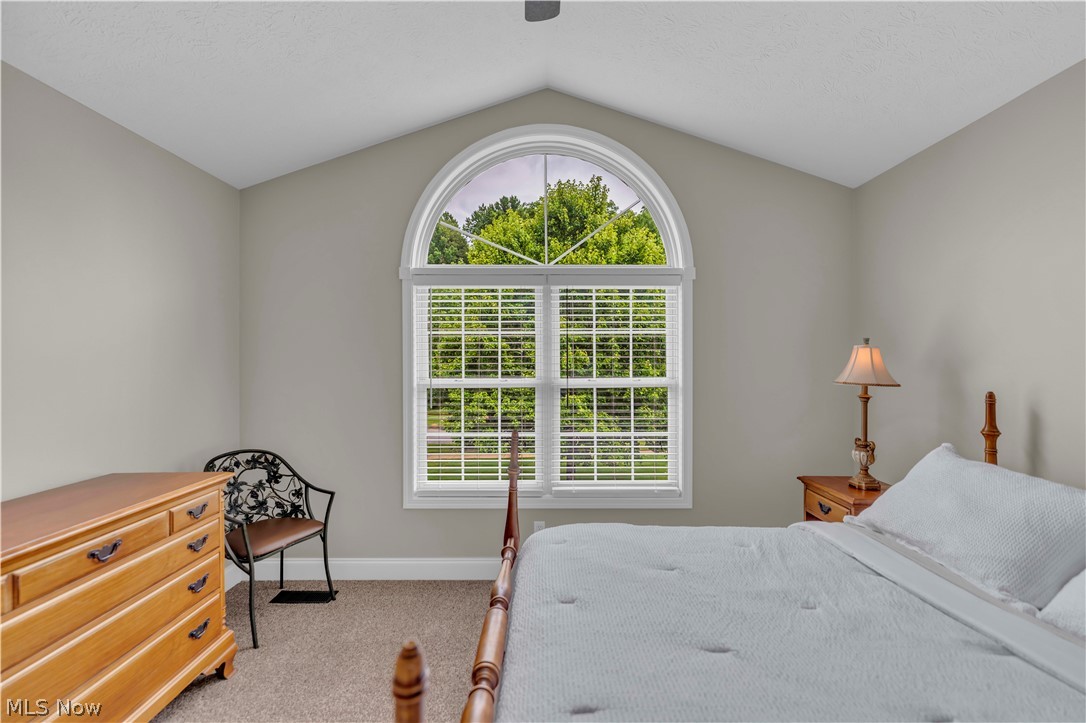 2940 Robert Gary Court Medina OH 44256
