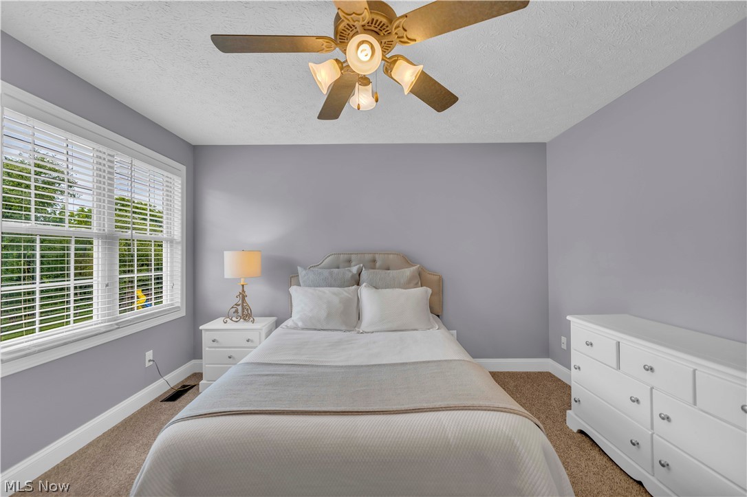 2940 Robert Gary Court Medina OH 44256