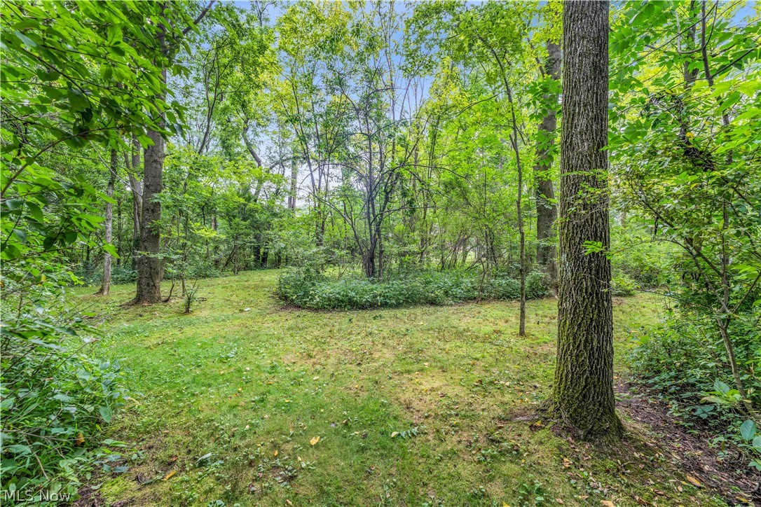 2940 Robert Gary Court Medina OH 44256