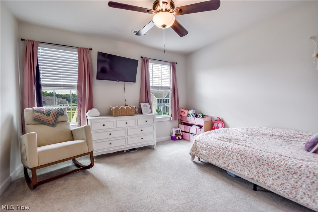 1579 Slick Rock Drive Painesville OH 44077