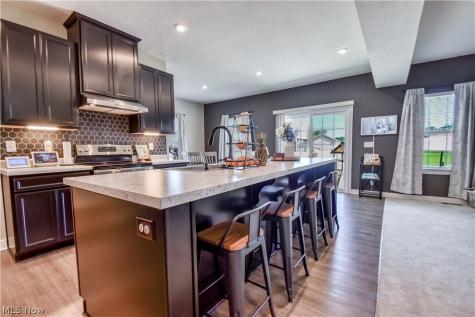 1579 Slick Rock Drive Painesville OH 44077
