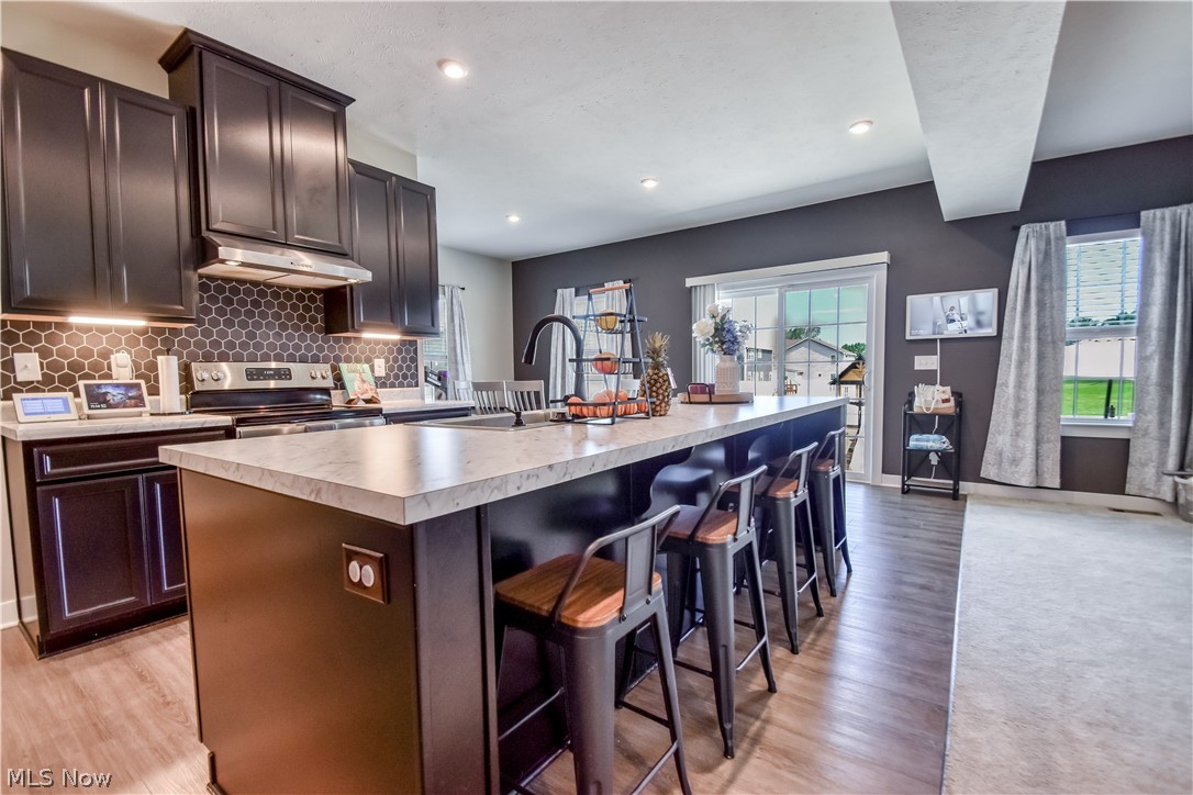 1579 Slick Rock Drive Painesville OH 44077