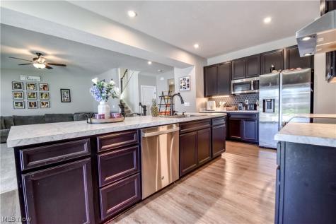 1579 Slick Rock Drive Painesville OH 44077