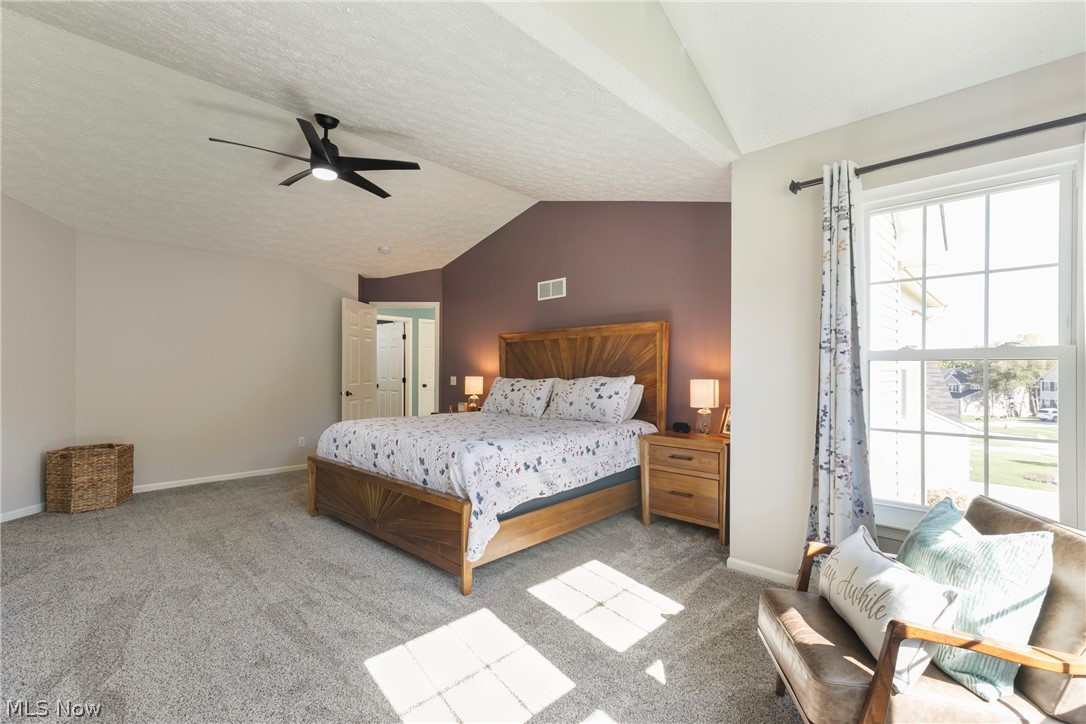 4625 Lexington Ridge Drive Medina OH 44256