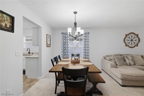 119 Prestwyck Lane Elyria OH 44035