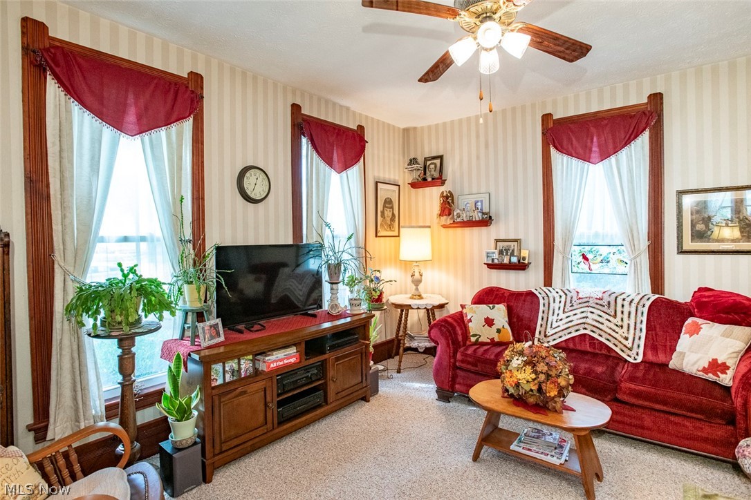 228 Elm Street Wellington OH 44090