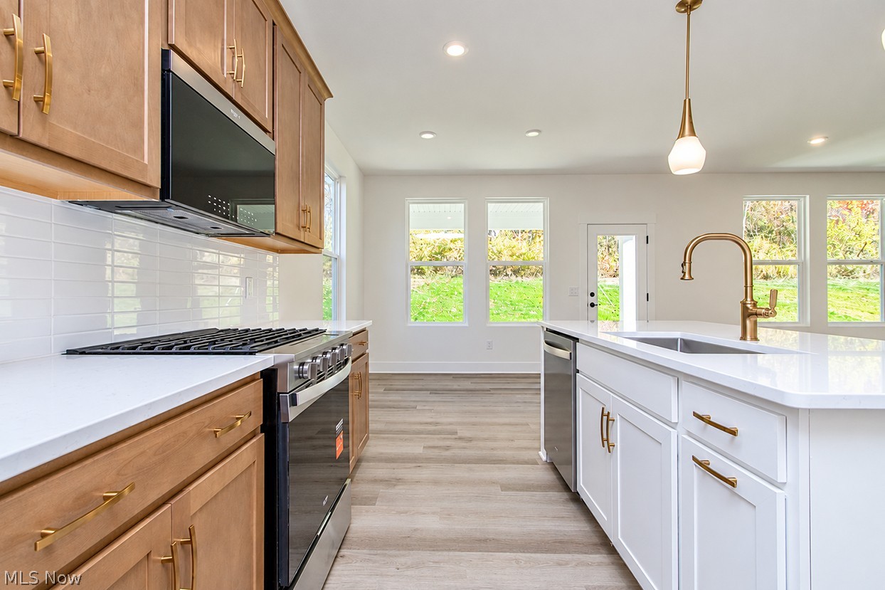 6109 Grey Heron Drive Medina OH 44256