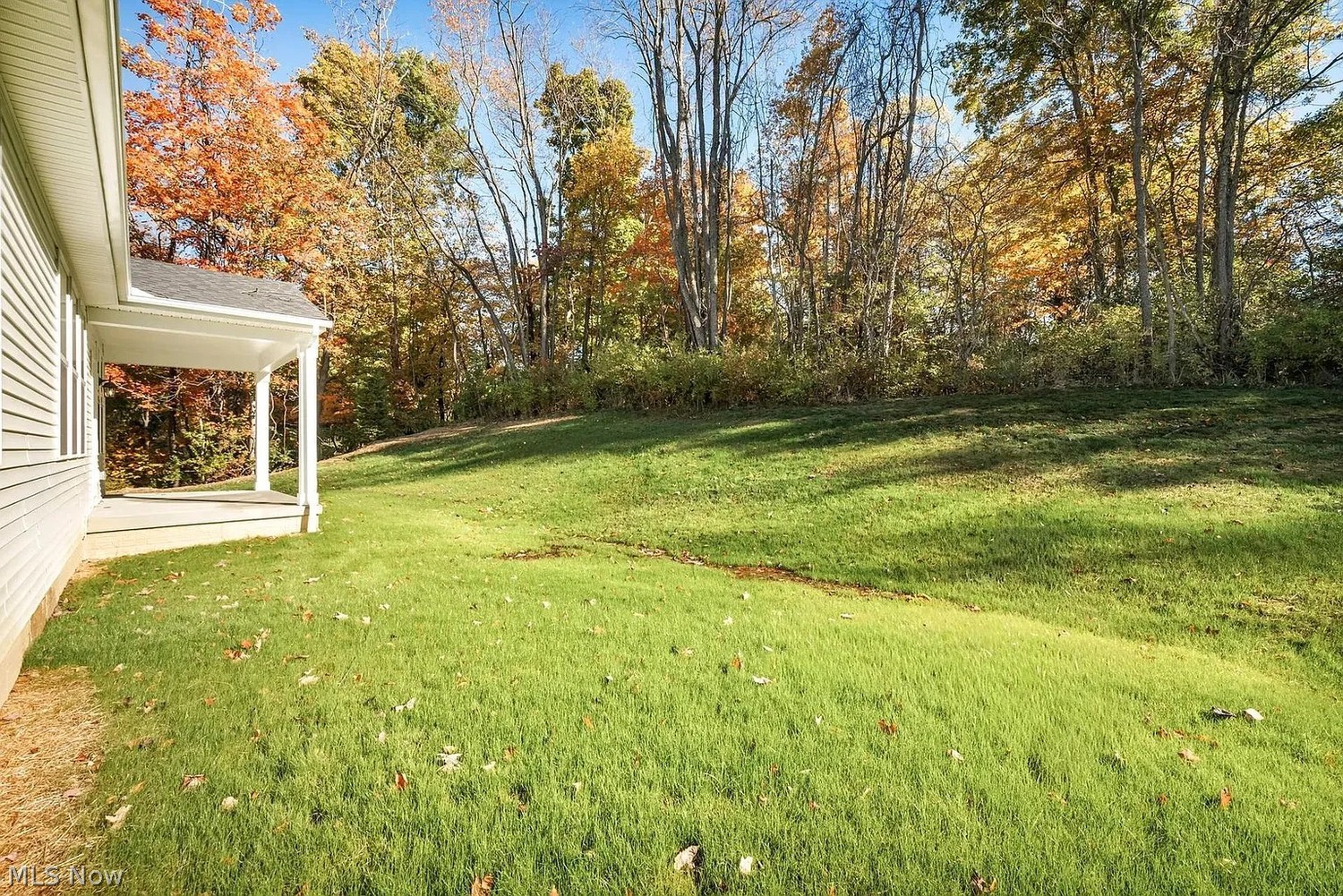 6109 Grey Heron Drive Medina OH 44256