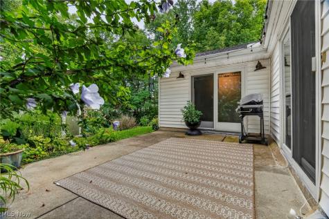 9265 Brookdale Lane Macedonia OH 44056