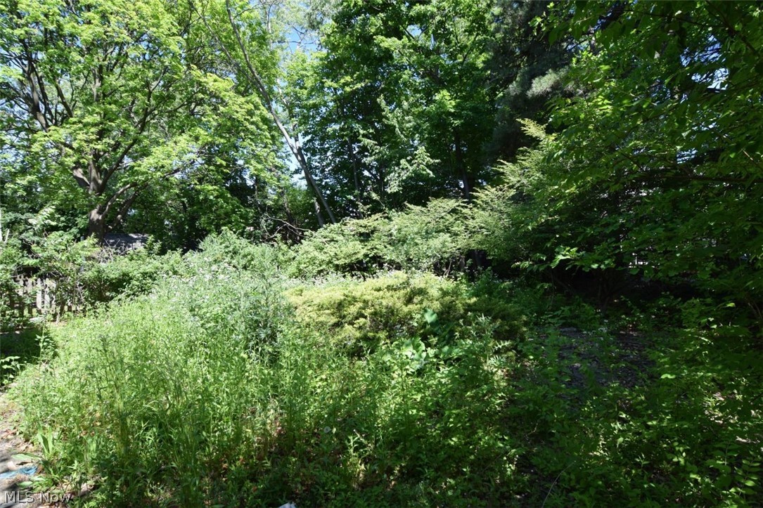 3563 Berkeley Road Cleveland Heights OH 44118