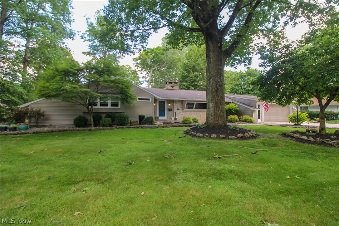 7293 Indian Trail Youngstown OH 44514