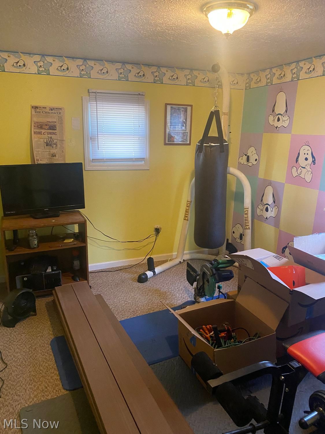 5542 Linn Road Amherst OH 44001