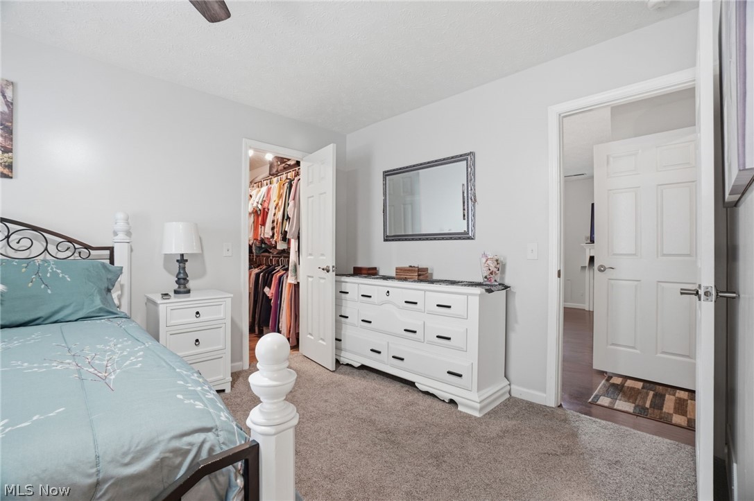4122 Denise Drive Ashtabula OH 44004
