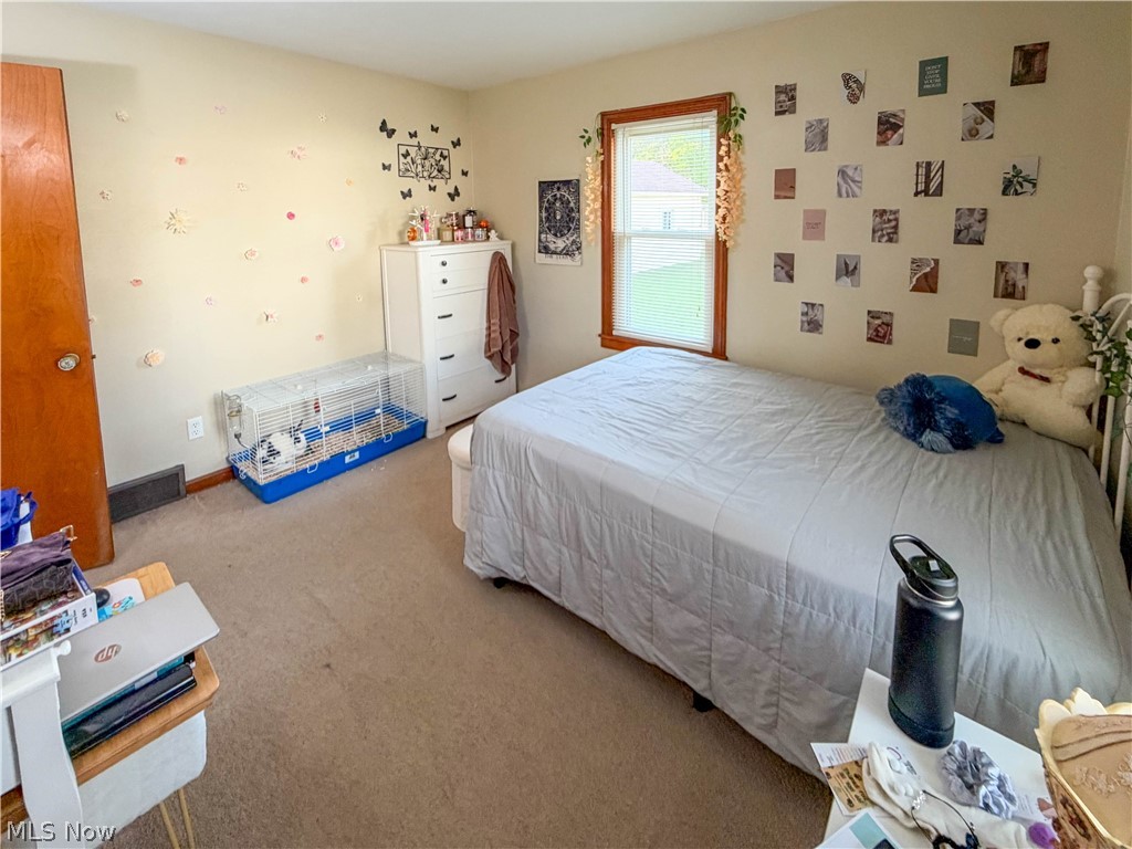 426 Joan Avenue Girard OH 44420