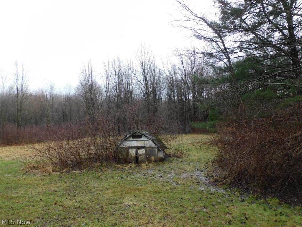 1790 Dadeyville Road Austinburg OH 44010