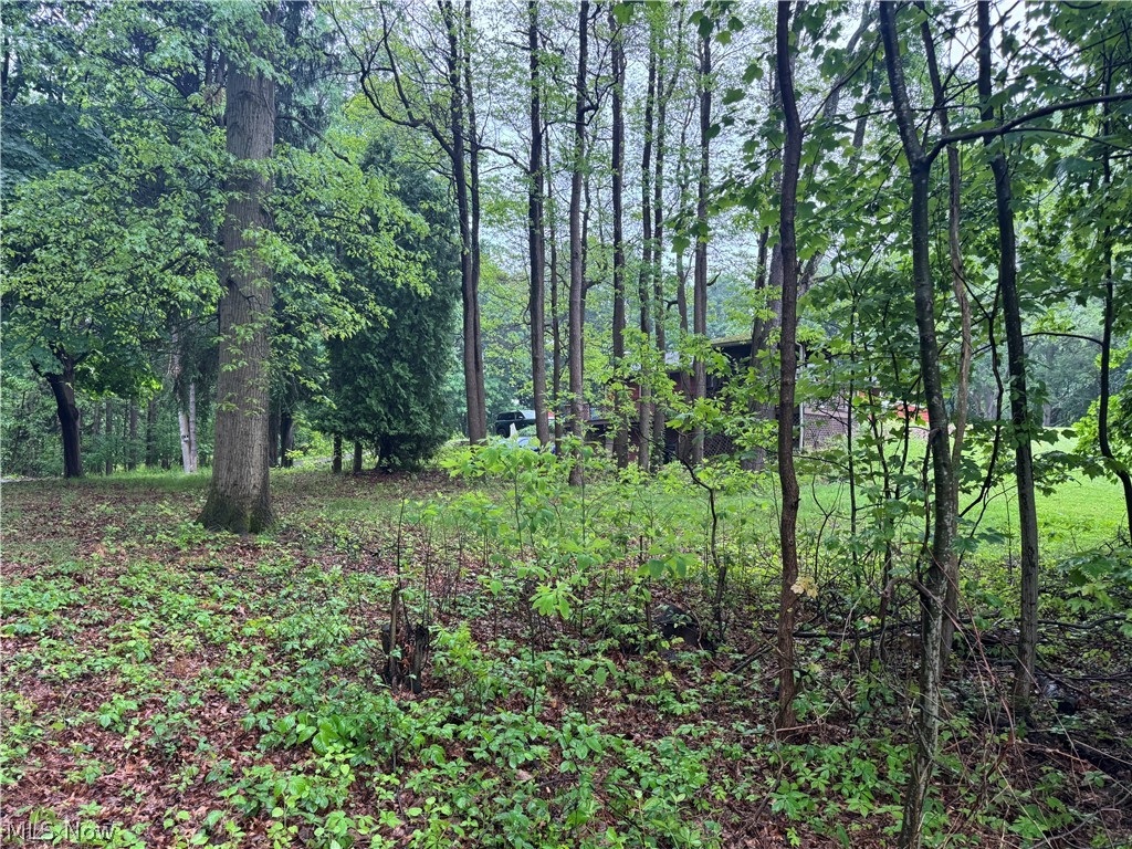 12797 Oakwood Avenue NW Uniontown OH 44685