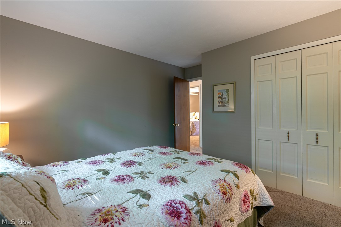 9124 Meadow Lane Brecksville OH 44141
