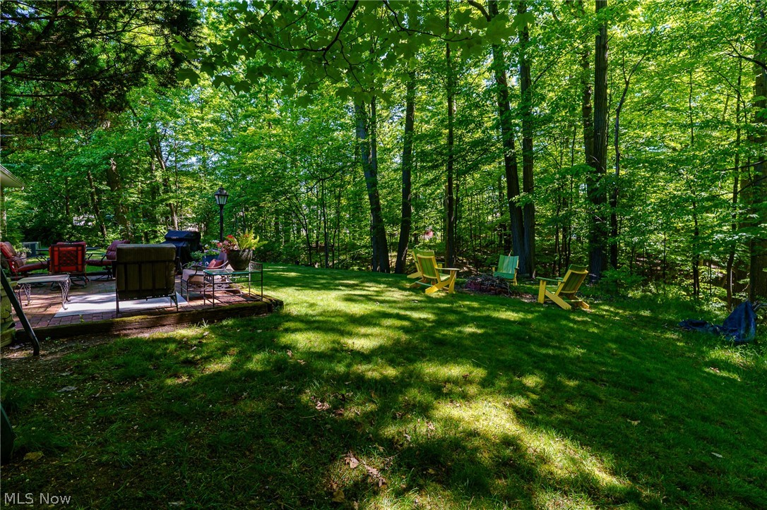 9124 Meadow Lane Brecksville OH 44141