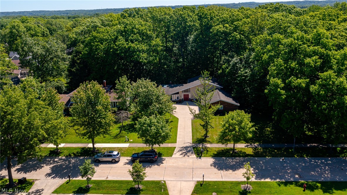 9124 Meadow Lane Brecksville OH 44141