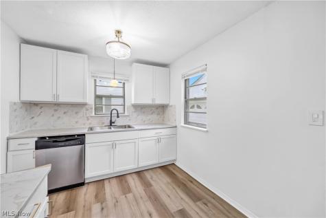 27151 Farringdon Avenue Euclid OH 44132