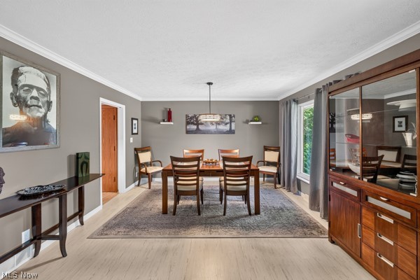1498 Belle Meade Road Copley OH 44321