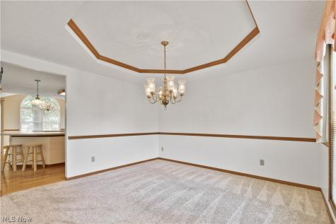 6854 Chablis Court Mentor OH 44060