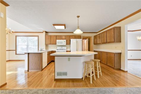 6854 Chablis Court Mentor OH 44060