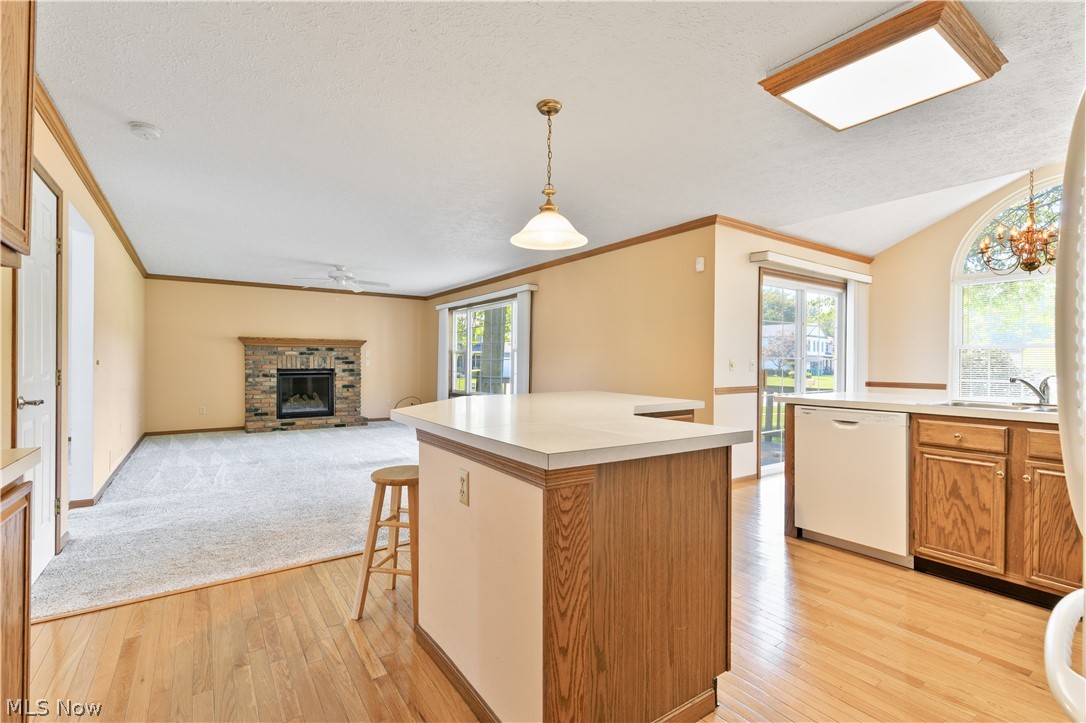 6854 Chablis Court Mentor OH 44060