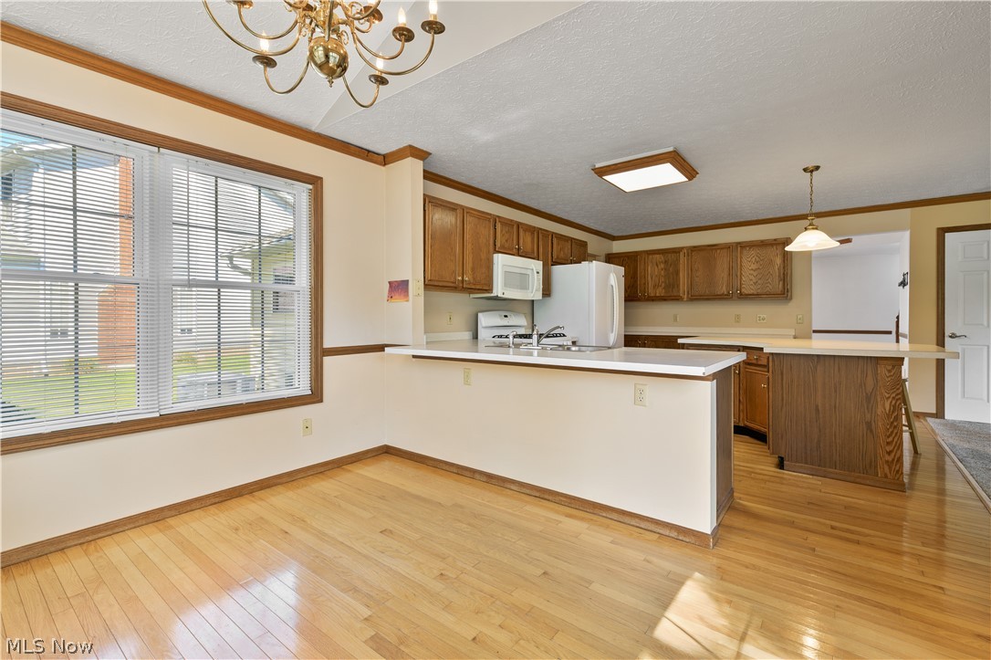 6854 Chablis Court Mentor OH 44060