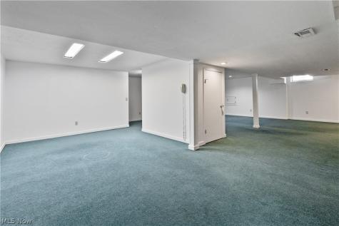 6854 Chablis Court Mentor OH 44060