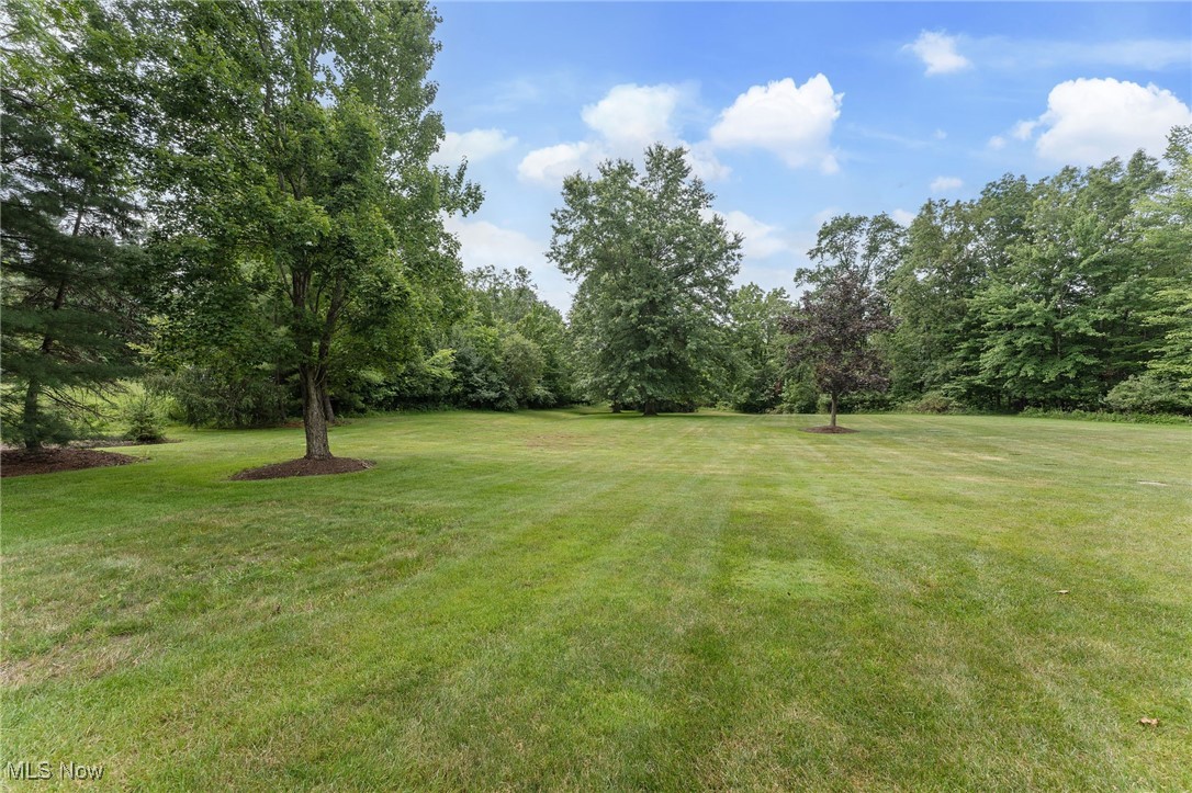 6751 Pheasants Ridge Hudson OH 44236