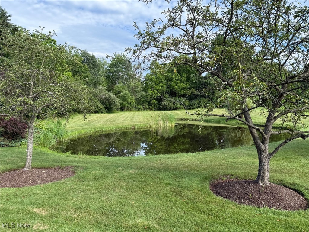 6751 Pheasants Ridge Hudson OH 44236