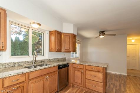 300 Mill Morr Road Painesville OH 44077