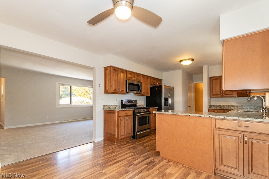 300 Mill Morr Road Painesville OH 44077