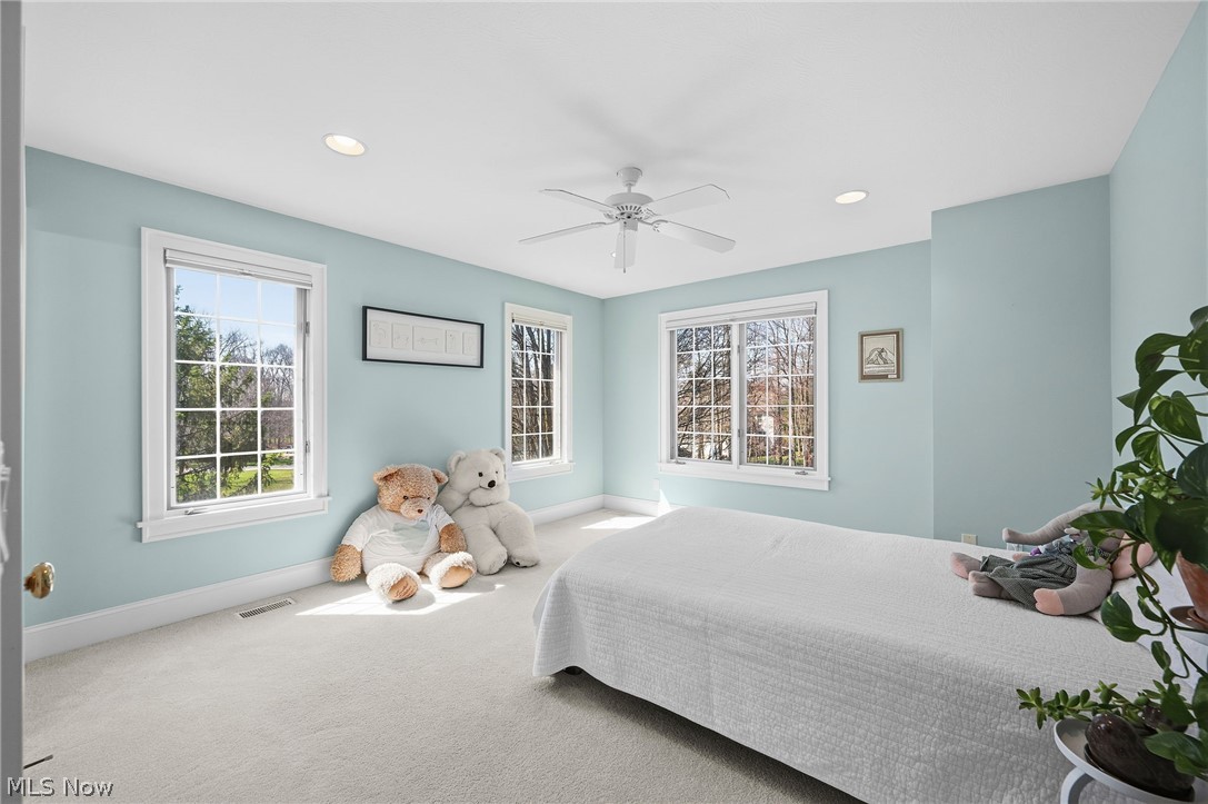 7674 Bergen Court Hudson OH 44236