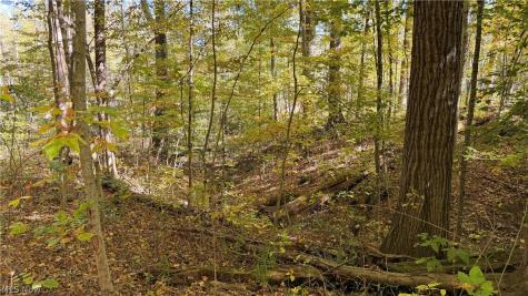 1566 Bowers Road Mansfield OH 44903