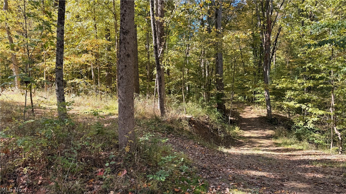 1566 Bowers Road Mansfield OH 44903