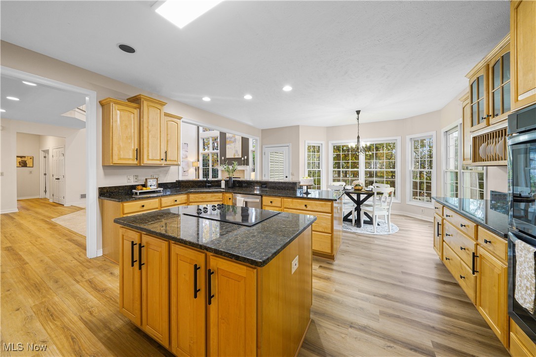 915 Cimarron Oval Aurora OH 44202