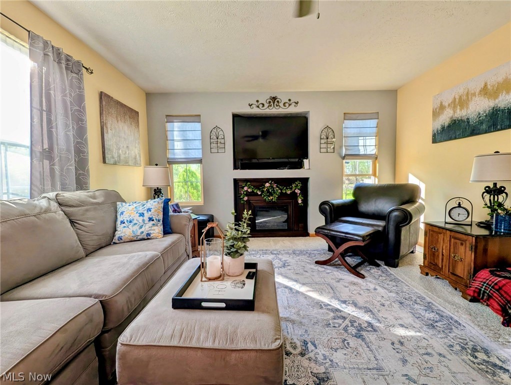 534 Twilight Trail Chippewa Lake OH 44215