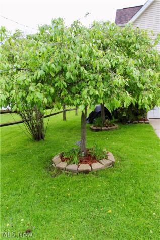 534 Twilight Trail Chippewa Lake OH 44215